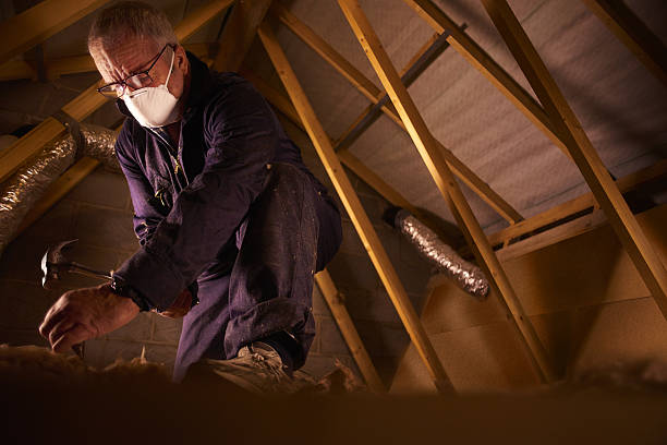 Best Commercial Insulation in Gaylord, MI